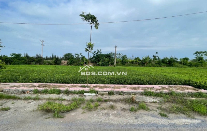 CHỦ VỠ NỢ CẦN BÁN NHANH LÔ ĐẤT QUẤT LÂM NAM ĐỊNH
